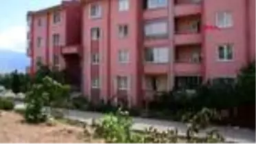 'Ağaç katliamı' ile suçlanan akademisyen Önce diktim diye hakarete uğradım şimdi de kestim diye