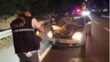 Gurbetçi kadın yolun karşısına geçmeye çalışırken kazada öldü