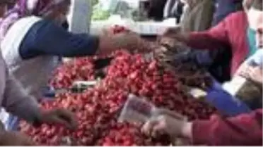 Pandemi sürecinde hava kargoyla 1,8 milyon dolarlık meyve ihracatı gerçekleştirildi