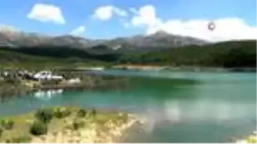 Burdur Aziziye göletine 10 bin aynalı sazan bırakıldı