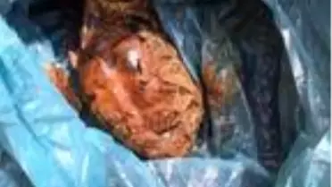 Fide dikmek istediği bahçesinde 'el bombası' buldu