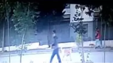 Son dakika haberi | Kapıyı kırıp girdikleri dükkandaki elektronik eşyalara dokunmayıp, köpeği çaldılar