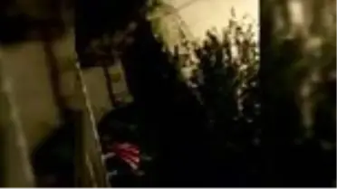 Uzmanından 'Sarıkamış'ta çöpe dadanan bozayılara yaklaşmayın' uyarısı