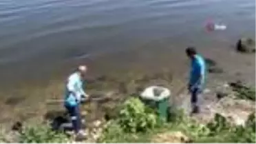 Çevre ve Şehircilik Bakanlığı ekipleri, balık ölümlerinin yaşandığı Küçükçekmece Gölü'nden numune...