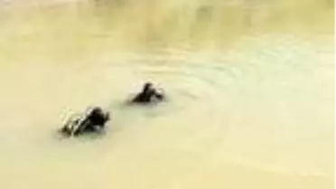 Aras Nehri'nde kaybolan Azat'ın cansız bedeni bulundu