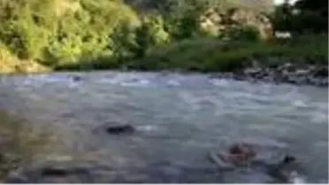Ordu'da rafting için çalışmalar başlatıldı