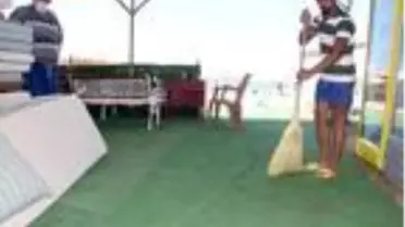 Saros Körfezi kıyıları, uğur böceklerinin istilasına uğradı
