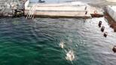 Çınarcık'a ulaşmak için ilk kulaç Kartal'dan atıldı