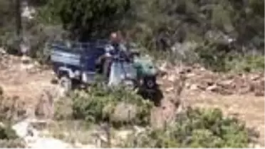 Mağaralarda olgunlaşmaya bırakılan obruk peynirinin 'lezzet yolculuğu' başladı