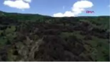 Sivas'ta, 'altın kelebek' zararlısına karşı 'ışıklı tuzak'