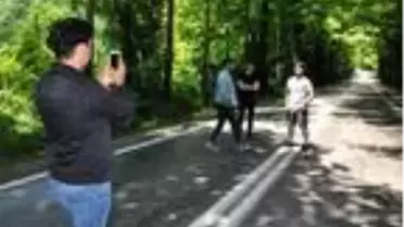 Ağaçların tünel oluşturduğu yol görsel şölen sunuyor
