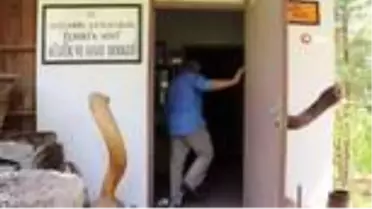 Korona virüsü hissetti, resimlerine yansıttı