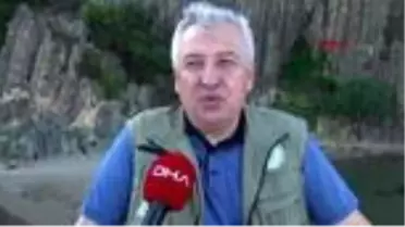 Boynuzlu engerek yılanının üstüne bastı