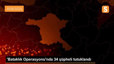 'Bataklık Operasyonu'nda 34 şüpheli tutuklandı