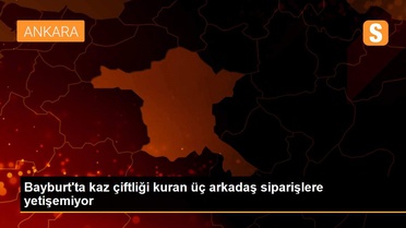 Bayburt'ta kaz çiftliği kuran üç arkadaş siparişlere yetişemiyor