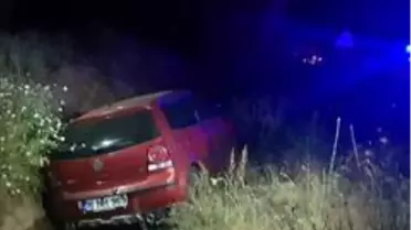 Koyunlara çarpmamak için şarampole uçtu