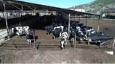Beş çiftçiyle kuruldu kooperatifçilikte marka oldu
