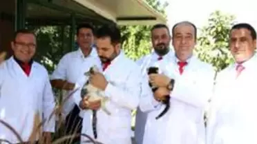 Aydın Veteriner Hekimleri Odası Başkanı Şahin, 'Hayvan sevgisi şifadır'