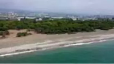 Erdemli Talat Göktepe Tabiat Parkı'nda temizlik çalışmaları