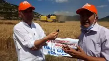 Yerli ve milli buğday çeşidi online tarla günü ile tanıtıldı