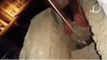 Yavru kediyi bacandan kurtarmak için seferber oldular