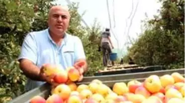 Karaman Ziraat Odası Başkanı Bayram: 'Elmanıza verilen yüksek fiyata asla kanmayın'