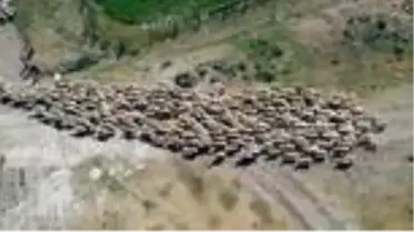 Köyümde Yaşamak İçin Bir 'Sürü' Nedenim Var Projesi - SİVAS