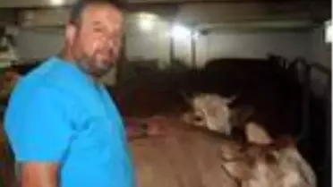 Kurbanlık hayvanlarda 'ölümcül kene' uyarısı