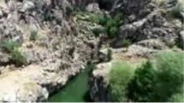 Liceli kadınların çevre hassasiyeti (1)