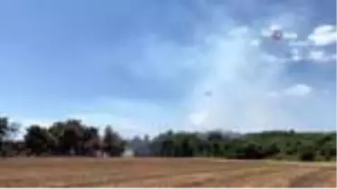 Saros Körfezinde orman yangını