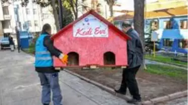 Canik'te can dostları emin ellerde