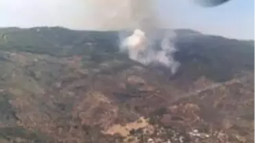 Aydın'da orman yangını