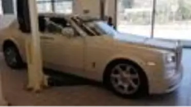 Ali Ağaoğlu'nun lüks otomobilinin kablolarını fareler kemirdi