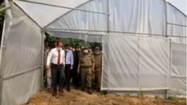 Vali Pehlivan sera projelerini inceledi