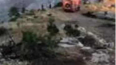 Hasankeyf'te çıkan yangında 2 bin dönümlük alan kül oldu