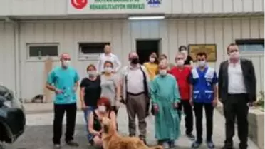 Artvin'de sokak hayvanlarını kısırlaştırılıyor