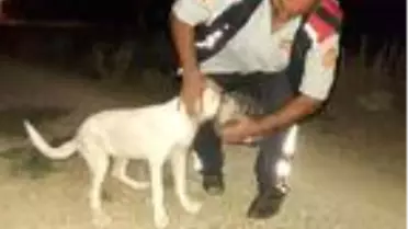 Başı bidona sıkışan köpeği itfaiye kurtardı