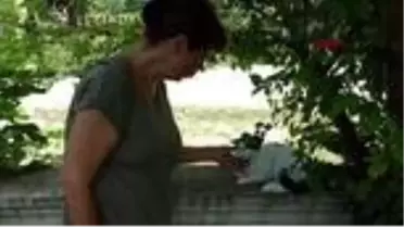 SAKARYA Bahçedeki engelli kediyi silahla ateş ederek öldürdüler