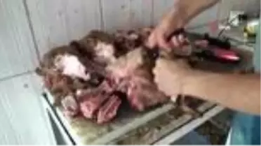 Siirt'te korona virüs kelle paça satışlarını iki kat arttırdı