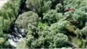 MANİSA Gediz Nehri'ndeki adacıklara ekili hintkenevirleri drone ile tespit edildi