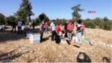 MERSİN Arıları sinek ilacıyla öldürülüp balları çalınan üreticiler tepkili