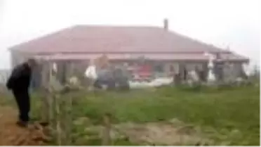 11 yaşındaki Elif, yaylada kayboldu, ekipler seferber oldu (3)