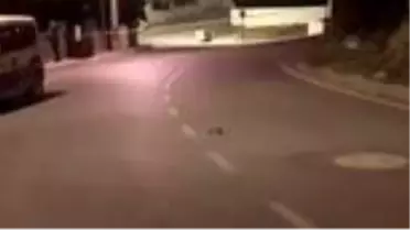 Silahlı kavga: 1 yaralı