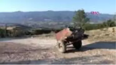 TOKAT Traktör şarampole yuvarlandı: 1 ölü, 1 yaralı