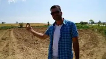 Sarımsak hasadı yaparken tarlasında gök taşı bulduğunu iddia etti