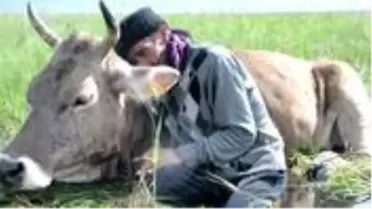 Bataklığa saplanan ineğinin başında sabahlayan Mehmet Amca bu bayram çok mutlu