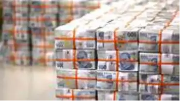 Son Dakika: Biz Bize Yeteriz Türkiyem Kampanyası'yla 1,2 milyon haneye 1.000'er TL'lik yardım yapıldı