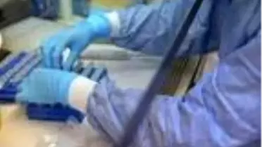 Virüste mutasyonu ortaya çıkaracak çalışma