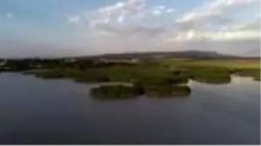 (DRONE) Türkiye'nin büyüleyen güzelliği: Kuş cennetleri (2) - VAN/KOCAELİ/