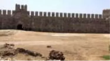 Tarihi Mamure Kalesi'ni çevreleyen kanaldaki sevimli kaplumbağalar ilgi çekiyor